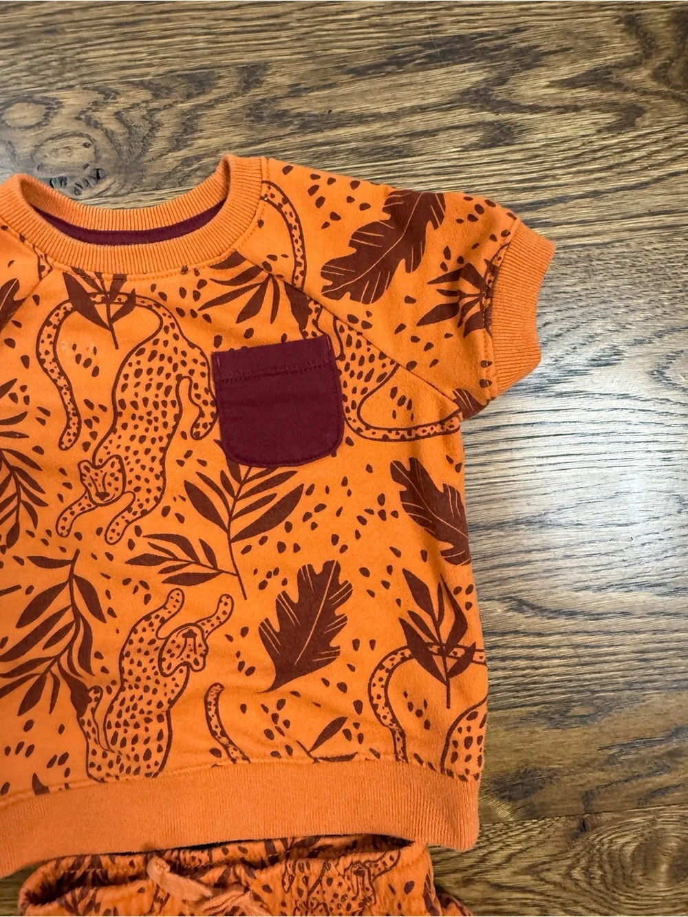 Cat & Jack x Danielle Peterson Kids Cheetah Print Sweatshirt/ Short Set 18 M
